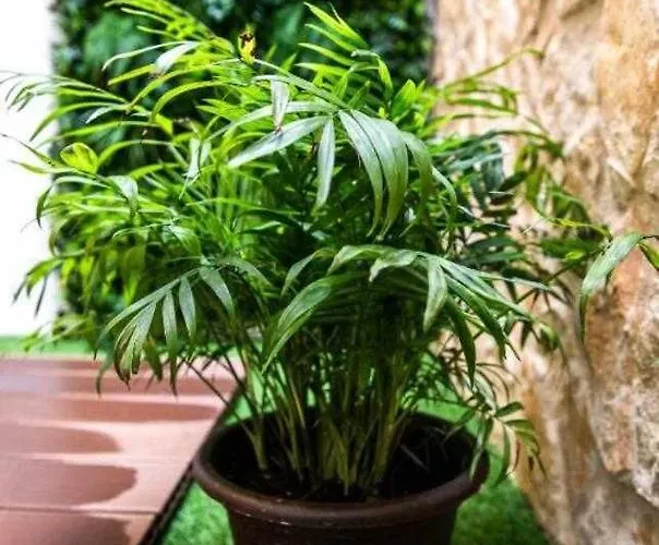 Casa Do Gato Poeta 公寓